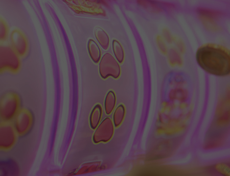 Maneki Casino